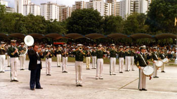 Banda 008