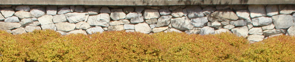 F o t o G r á f i c @