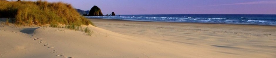 F o t o G r á f i c @