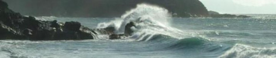 F o t o G r á f i c @