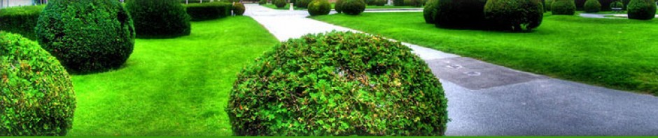 F o t o G r á f i c @