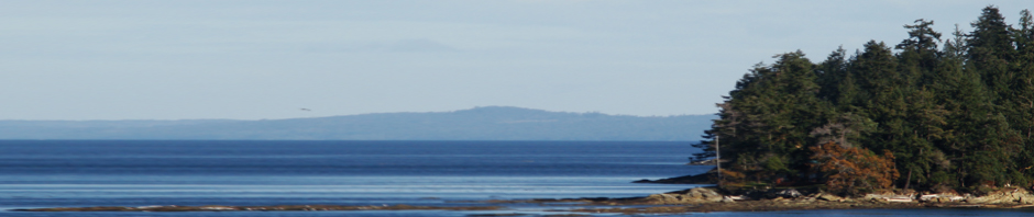 F o t o G r á f i c @