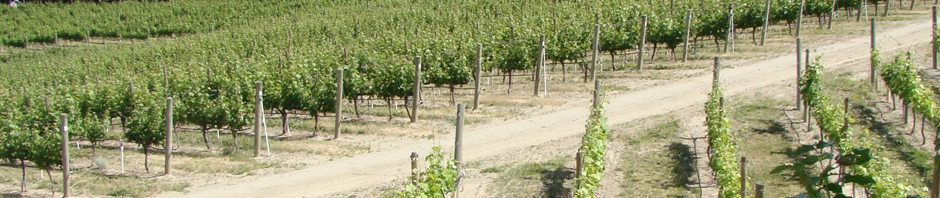 F o t o G r á f i c @