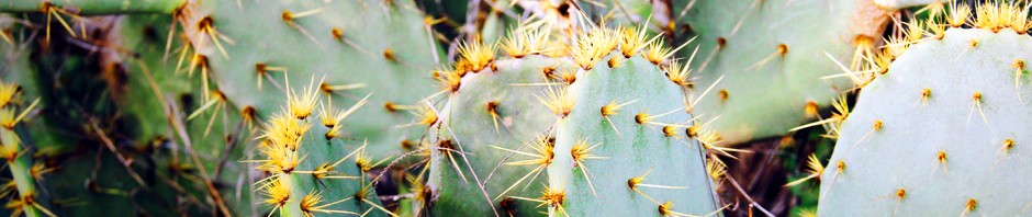 F o t o G r á f i c @