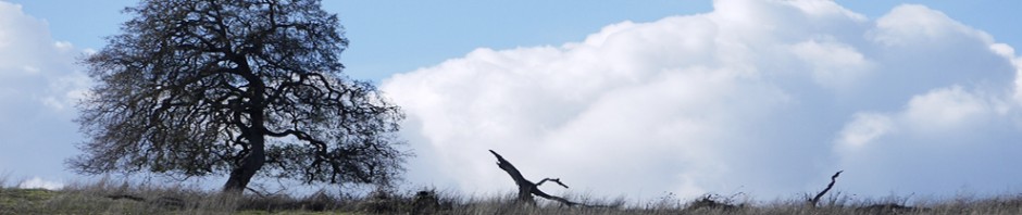 F o t o G r á f i c @