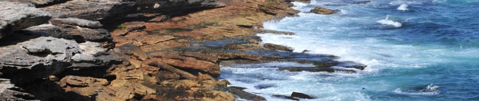 F o t o G r á f i c @