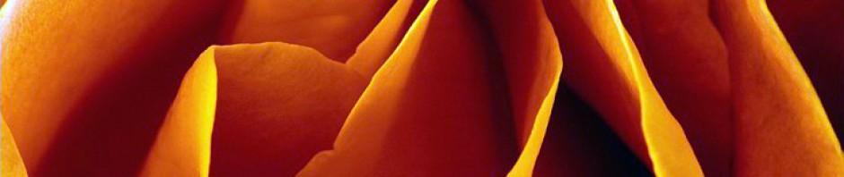 F o t o G r á f i c @