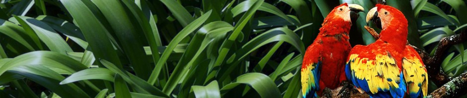 F o t o G r á f i c @