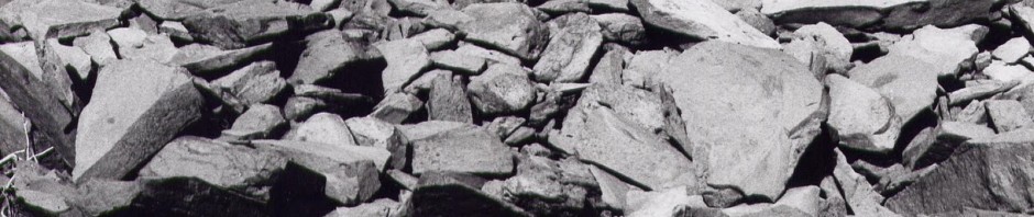 F o t o G r á f i c @