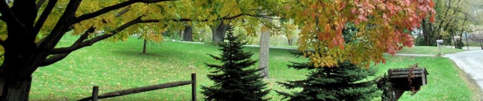 F o t o G r á f i c @