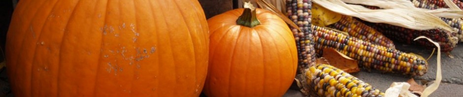 F o t o G r á f i c @