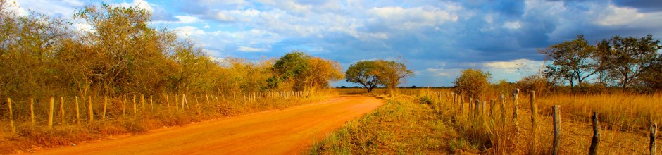 F o t o G r á f i c @