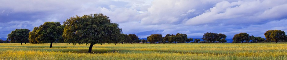 F o t o G r á f i c @